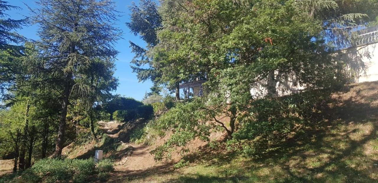 Saint-Jean-de-Muzols Tikazela - Domaine Ombre Et Lumiere Bed & Breakfast エクステリア 写真